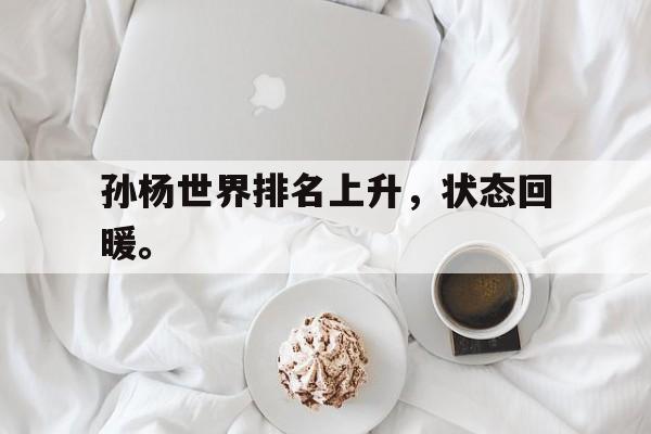 爱游戏平台官网入口官网-孙杨世界排名上升，状态回暖。