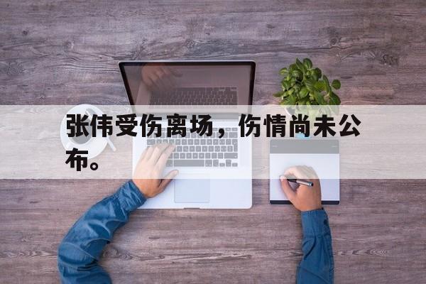 爱游戏平台官网入口官网-张伟受伤离场，伤情尚未公布。