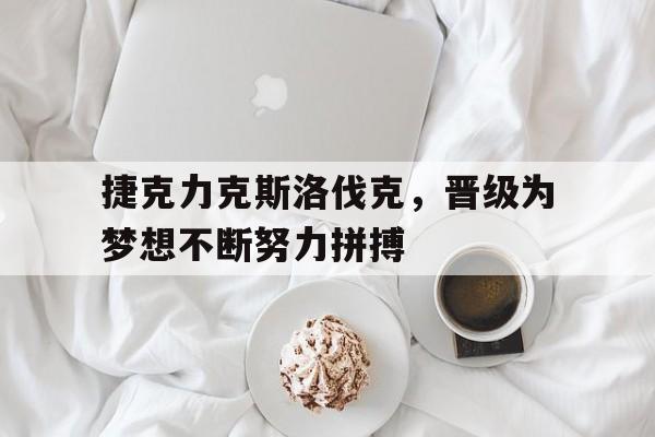 爱游戏平台-捷克力克斯洛伐克，晋级为梦想不断努力拼搏