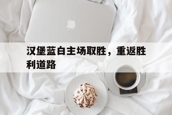 爱游戏平台官网入口官网-汉堡蓝白主场取胜，重返胜利道路